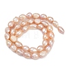 Natural Cultured Freshwater Pearl Beads Strands PEAR-P064-20J-03F-3