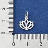 925 Sterling Silver Charms STER-M119-10S-3