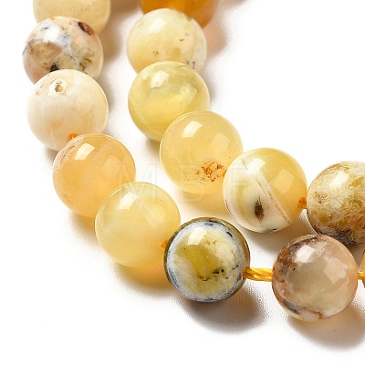 Natural Yellow Opal Beads Strands G-G992-A02-C-1