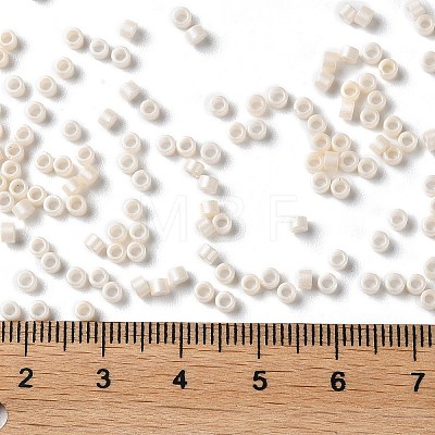 Baking Paint Glass Seed Beads X-SEED-S042-15A-02-1