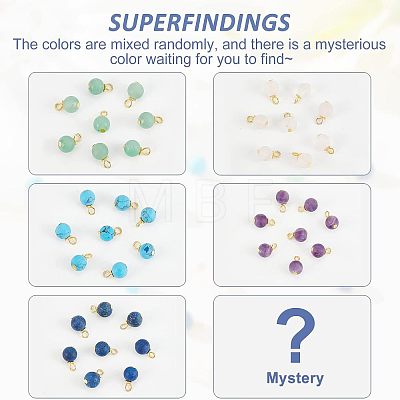 60Pcs Frosted Natural & Synthetic Gemstone Charms FIND-FH0004-55-1