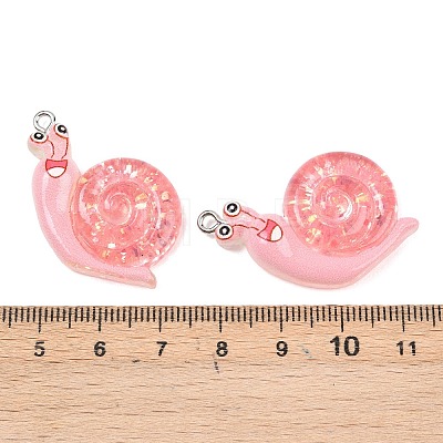 Transparent & Opaque Resin Pendants RESI-P048-02-1
