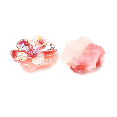 Luminous Resin Cabochons RESI-E033-02H-1