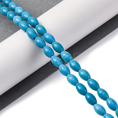 Synthetic Howlite Beads Strands G-F783-B01-01-1