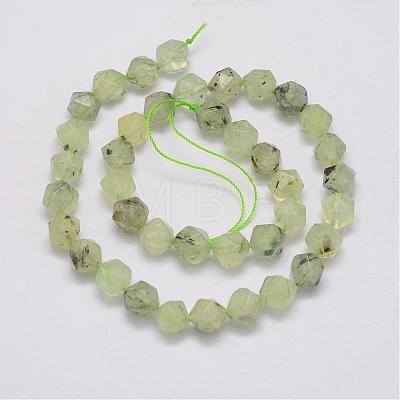 Natural Prehnite Bead Strands G-G970-06-10mm-1