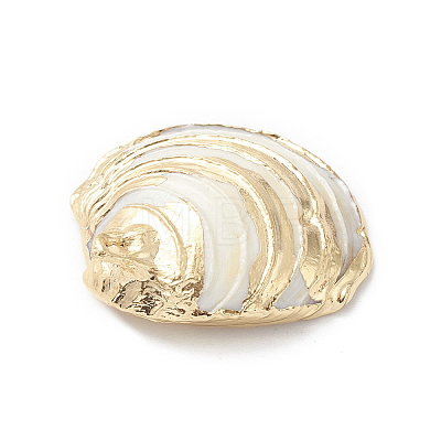 Natural Sea Shell Pendants X-SHEL-F005-06LG-1