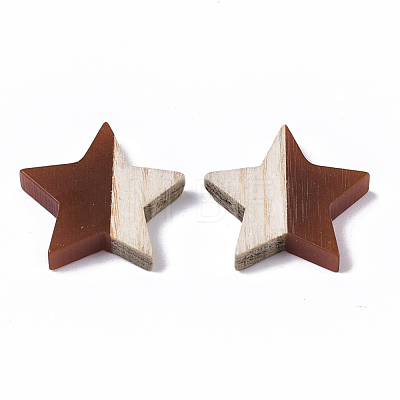 Resin & Wood Cabochons RESI-R425-02-1