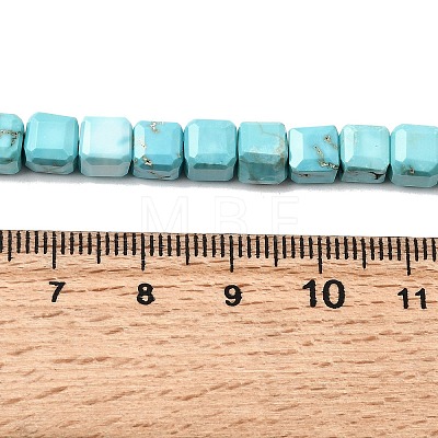 Natural Howlite Bead Strands G-H345-C01-01-1