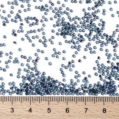 MIYUKI Round Rocailles Beads X-SEED-G009-RR0346-1