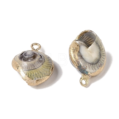 Natural Conch Pendant BSHE-H018-11G-1