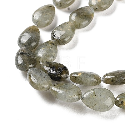 Natural Labradorite Beads Strands G-K357-A14-01-1