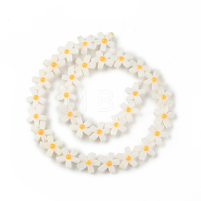 Natural Freshwater Shell Beads Strands SHEL-F004-04-1