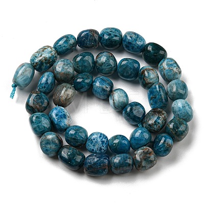 Natural Apatite Beads Strands G-C038-02A-03-1