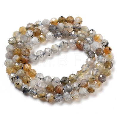 Natural Labradorite Beads Strands G-G161-A09-03-1