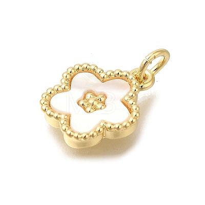 Brass Shell Pendants KK-R002-12G-1