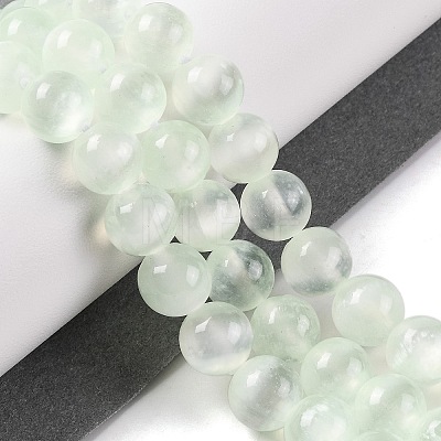 Natural Selenite Beads Strands G-C142-01B-06-1