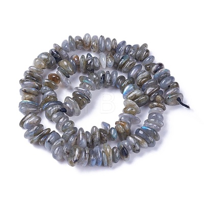 Natural Labradorite Beads Strands G-I225-15A-1