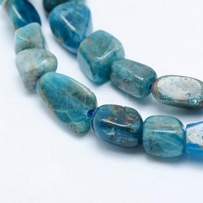 Natural Apatite Beads Strands G-K203-13-1