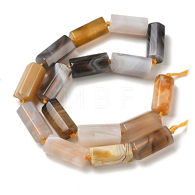 Natural Botswana Agate Beads Strands GG-CBA086A-03A-05-1