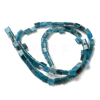 Natural Apatite Beads Strands G-F762-A19-01-1
