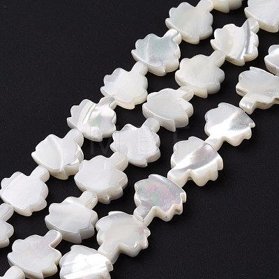 Natural Trochid Shell Beads Strands SSHEL-G023-09B-1