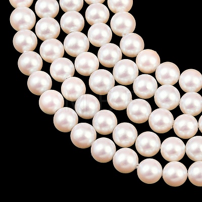 Electroplated Shell Pearl Beads Strands BSHE-C011-01A-1