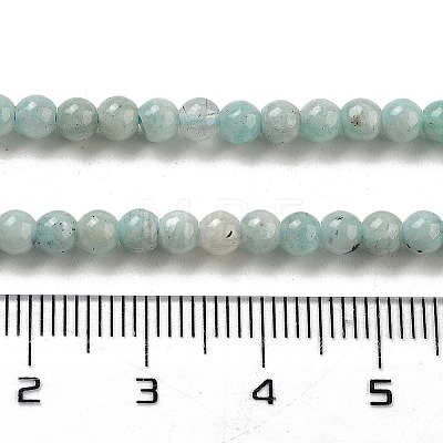 Natural Amazonite Beads Strands G-J400-D06-01-1