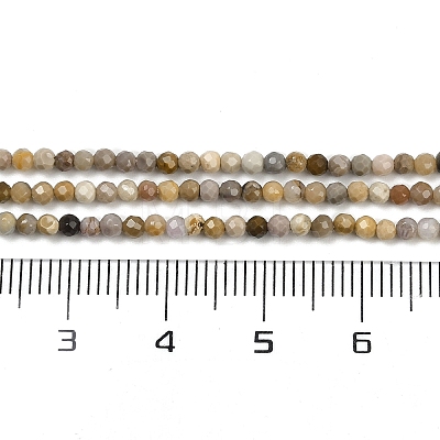 Natural Alashan Agate Beads Strands G-C181-B05-01-1