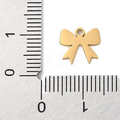 304 Stainless Steel Charms STAS-S138-02G-01-1