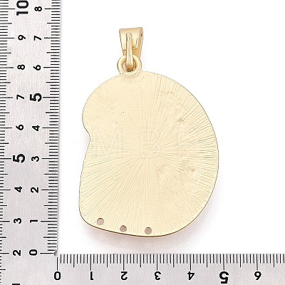 Alloy Resin Big Pendants PALLOY-N179-91MG-1