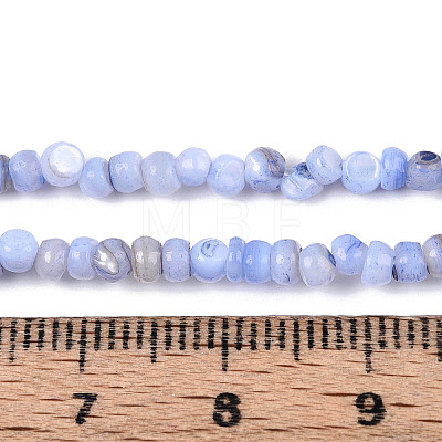Natural Freshwater Shell Dyed Beads Strands SHEL-T020-29B-1