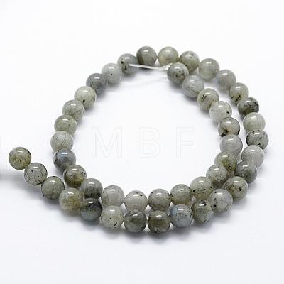 Natural Labradorite Beads Strands G-I199-15-12mm-1