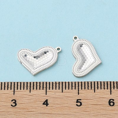 925 Sterling Silver Charms STER-C004-05S-1