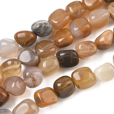 Natural Petrified Wood Beads Strands GG-CBA9392-31-1