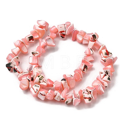 Natural Trochid Shell/Trochus Shell Beads Strands SHEL-B003-02C-1