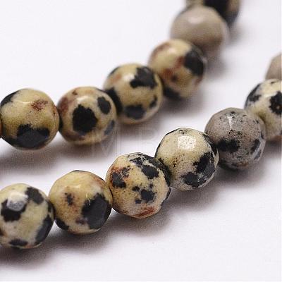 Natural Dalmatian Jasper Beads Strands G-D840-49-4mm-1