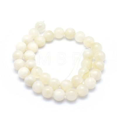 Natural Rainbow Moonstone Strands G-G764-45-10mm-1