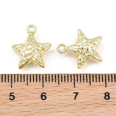 Alloy Charms AL-CBA15FB-11G-1