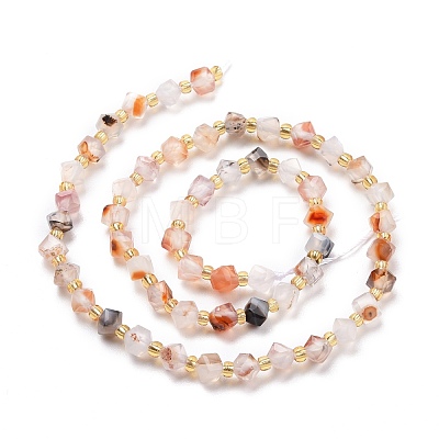 Natural Agate Beads Strands G-P463-18-1