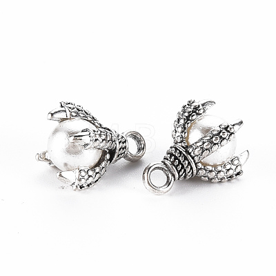 Tibetan Style Alloy Charms PALLOY-S120-249C-RS-1