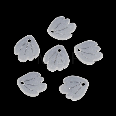 Frosted Acrylic Pendants SACR-F016-02B-1