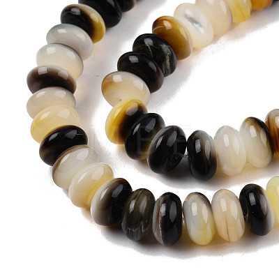 Natural Black Lip Shell Beads Strands SSHEL-N003-150-1