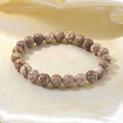 Natural Maifanite/Maifan Stone Bead Stretch Bracelets BJEW-K212-B-044-1