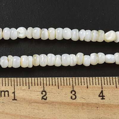 Dyed Natural Freshwater Shell Beads Strands BSHE-G039-07N-1