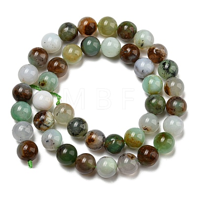 Natural Serpentine Beads Strands G-R494-A03-04-1