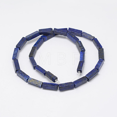 Natural Lapis Lazuli Beads Strands G-F402-11-1