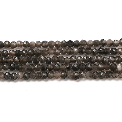 Natural Silver Sheen Obsidian Beads Strands G-E608-A02-A-1