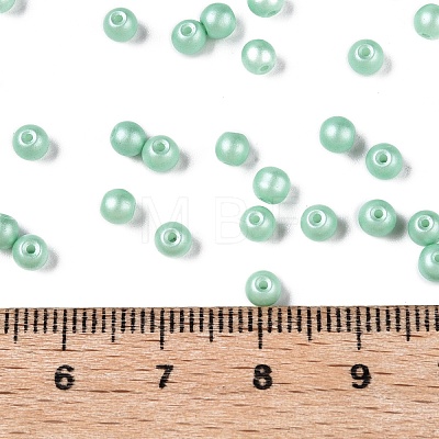 Glass Seed Beads SEED-T007-01M-1