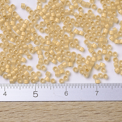 MIYUKI Delica Beads Small SEED-JP0008-DBS0230-1