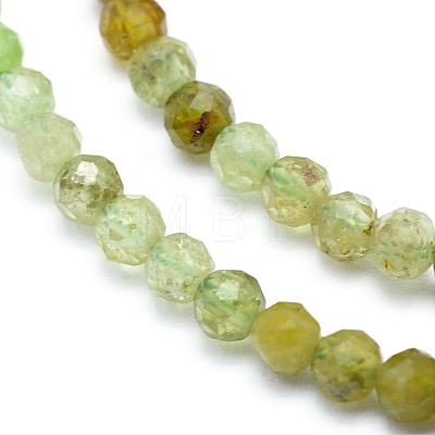Natural Green Garnet Beads Strands G-G823-19-3mm-1